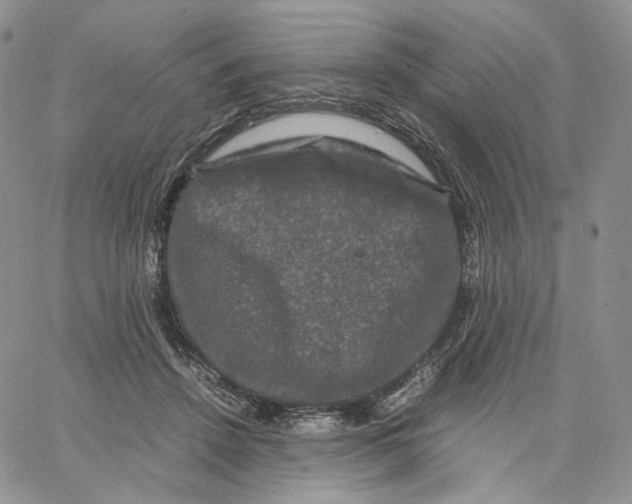 X0000062830456200602031541