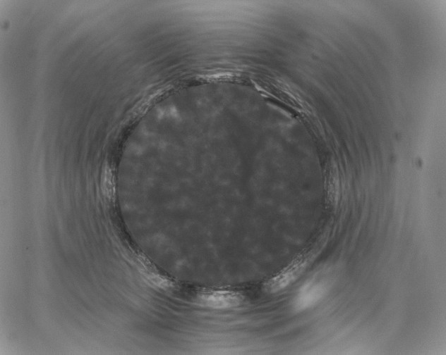 X0000062830467200602031541