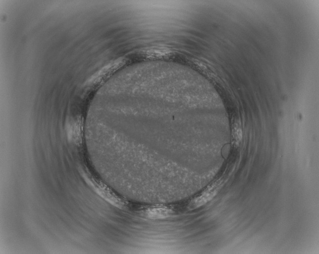 X0000062830468200602031541