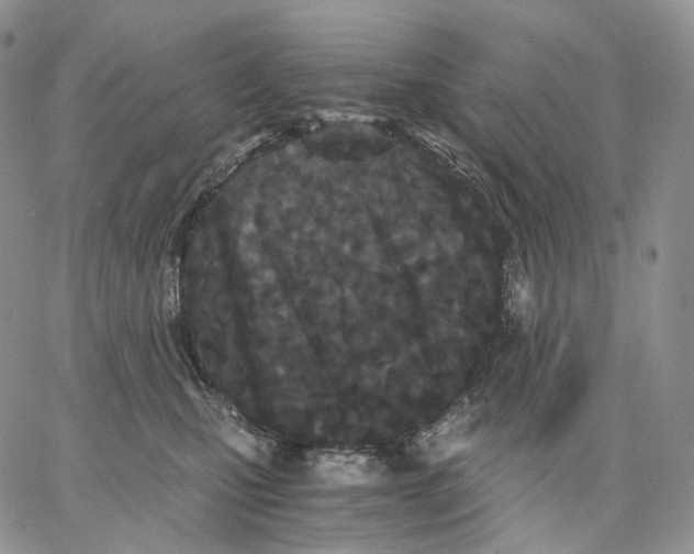 X0000062830471200602031541