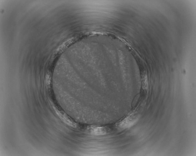 X0000062830472200602031541