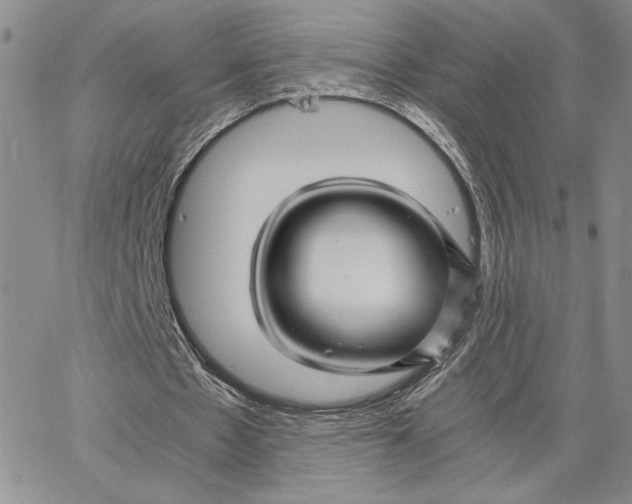 X0000062830481200602031541