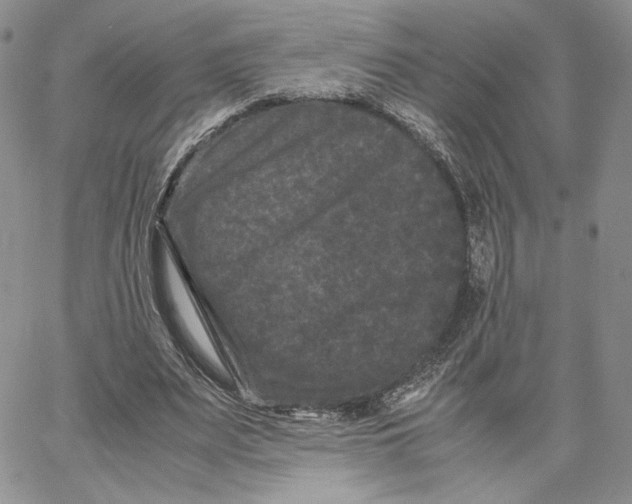 X0000062830487200602031541