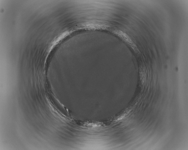 X0000062830488200602031541