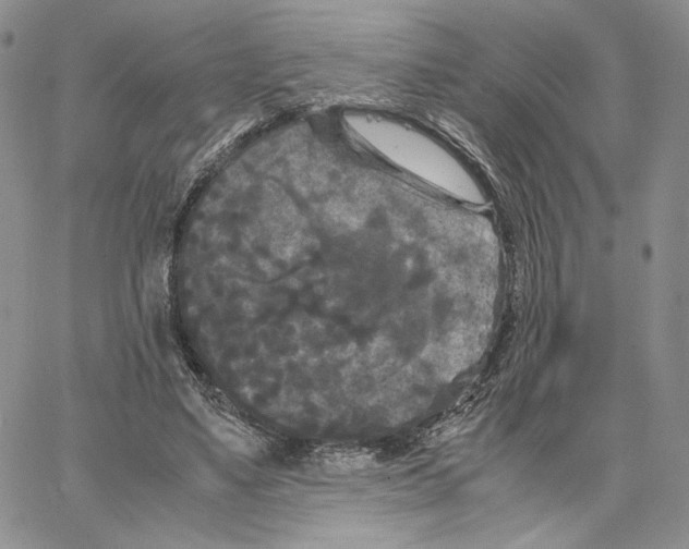 X0000062830491200602031541