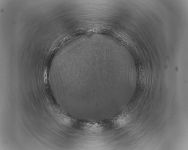 X0000062830502200602031540