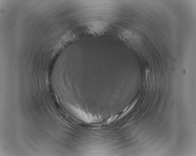X0000062830508200602031540
