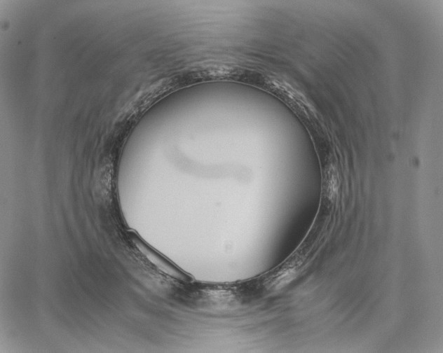 X0000062830509200602031540