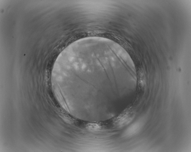 X0000062830519200602031540