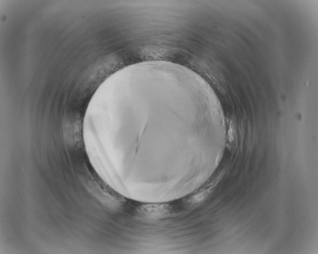 X0000062830526200602031540