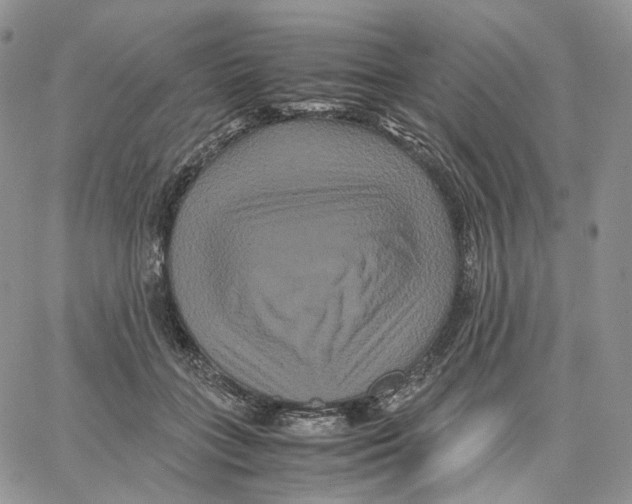 X0000062830555200602031540
