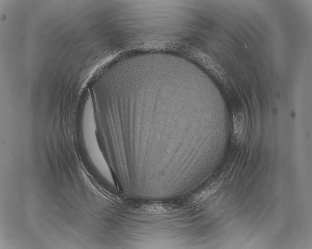 X0000062830588200602031539