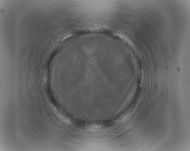 X0000062830593200602031539