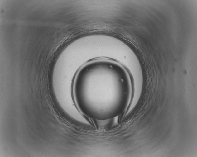 X0000062830595200602031539