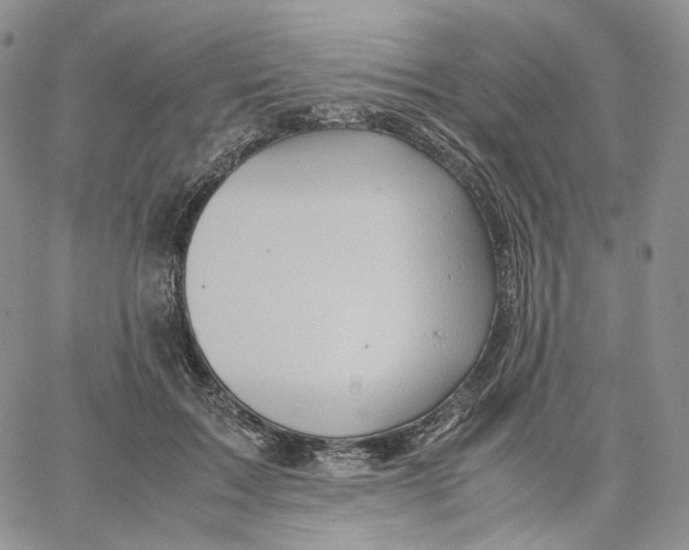 X0000062830603200602031539