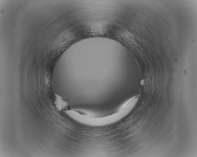 X0000062830608200602031539