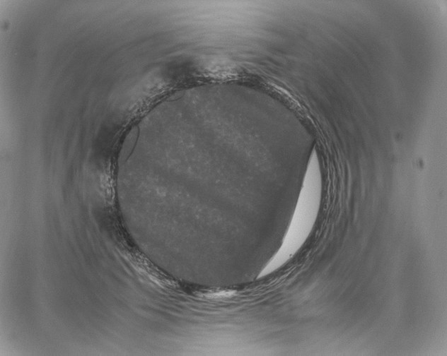 X0000062830609200602031539