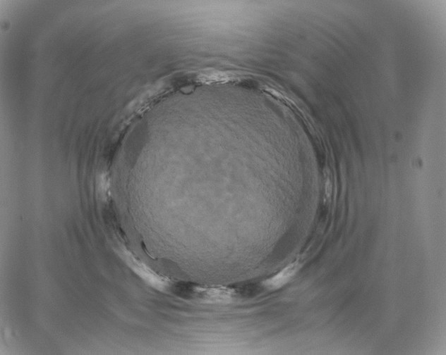 X0000062830621200602031539