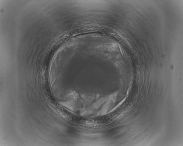 X0000062830641200602031538