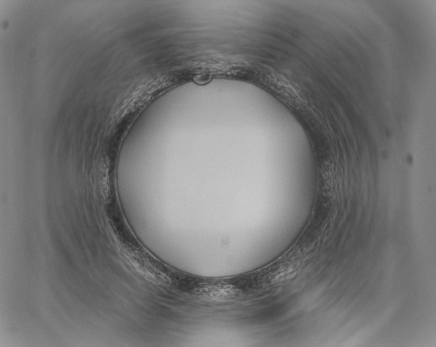 X0000062830642200602031538