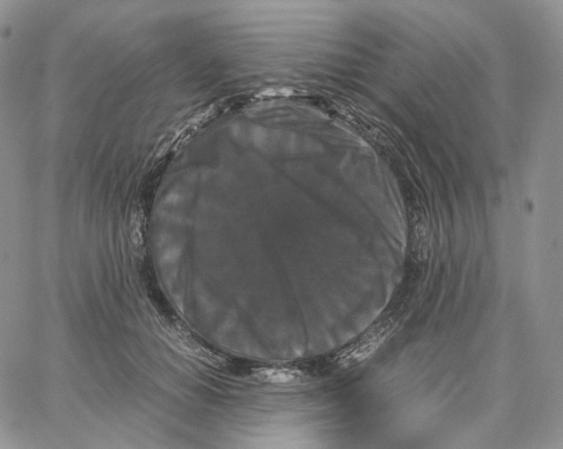 X0000062830654200602031538