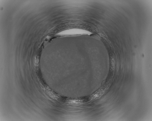 X0000062830657200602031538