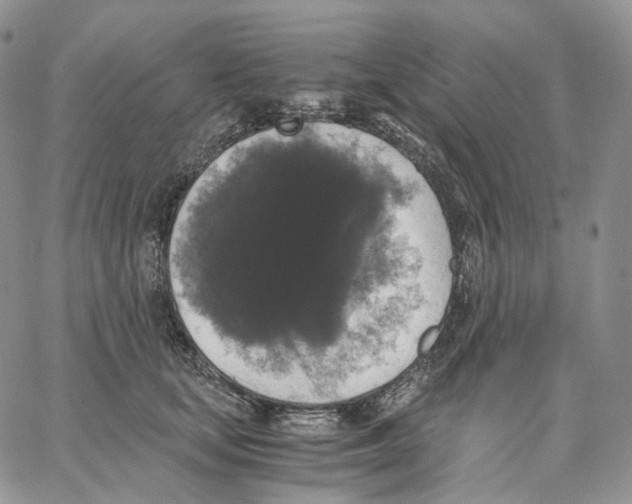 X0000062830659200602031538