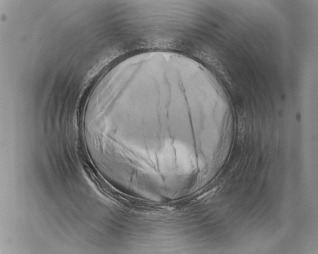 X0000062830674200602031538