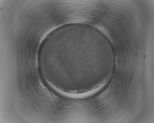 X0000062830676200602031538