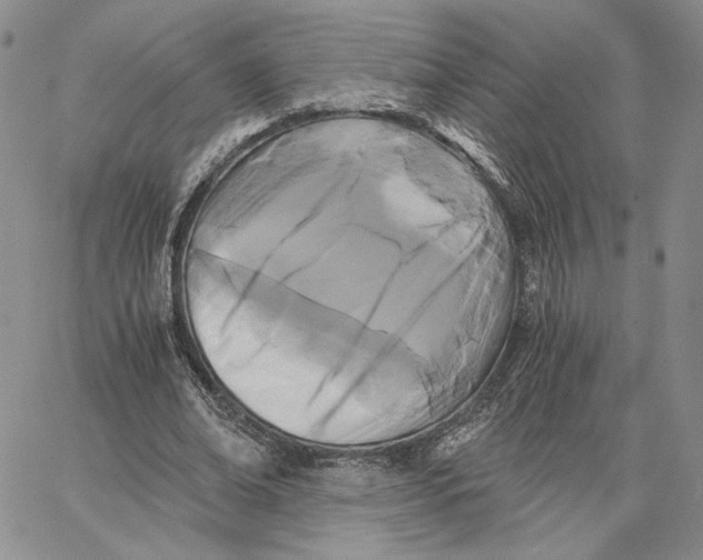 X0000062830678200602031538