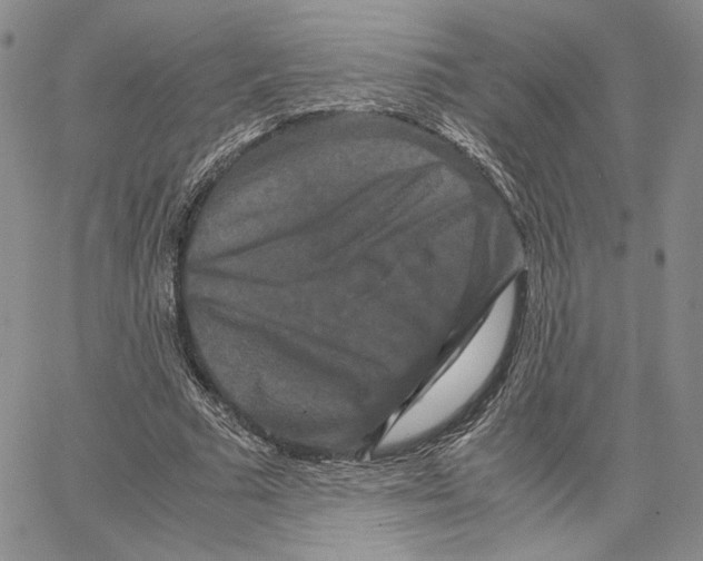 X0000062830681200602031538