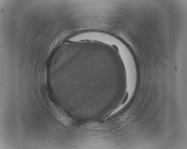 X0000062830685200602031537