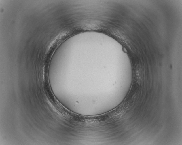 X0000062830686200602031537