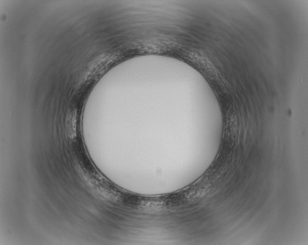X0000062830694200602031537