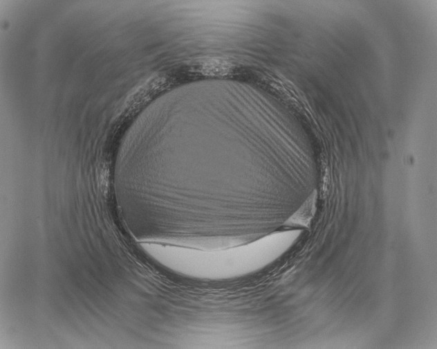 X0000062830697200602031537