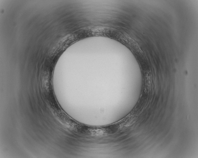 X0000062830698200602031537