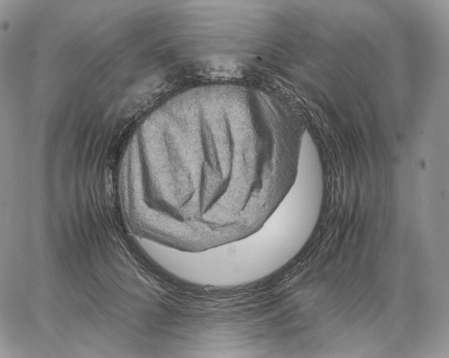 X0000062830704200602031537