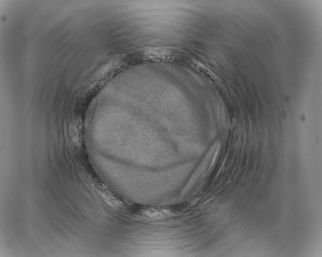 X0000062830712200602031537