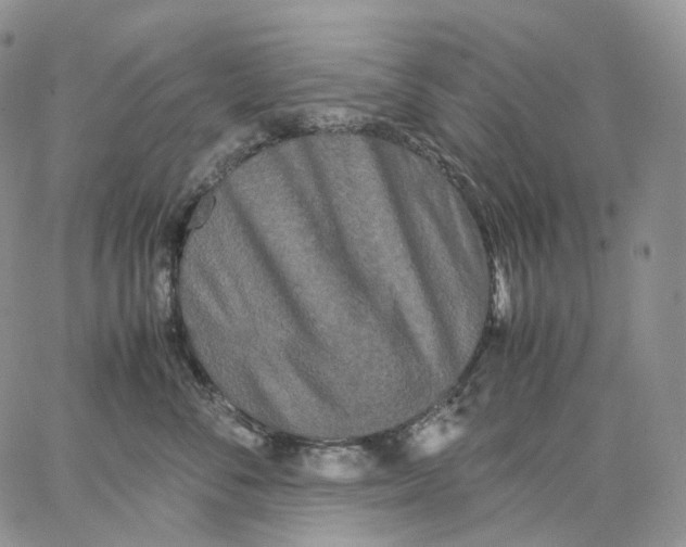 X0000062830716200602031537