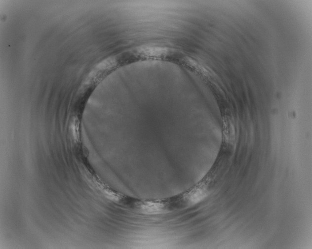 X0000062830718200602031537