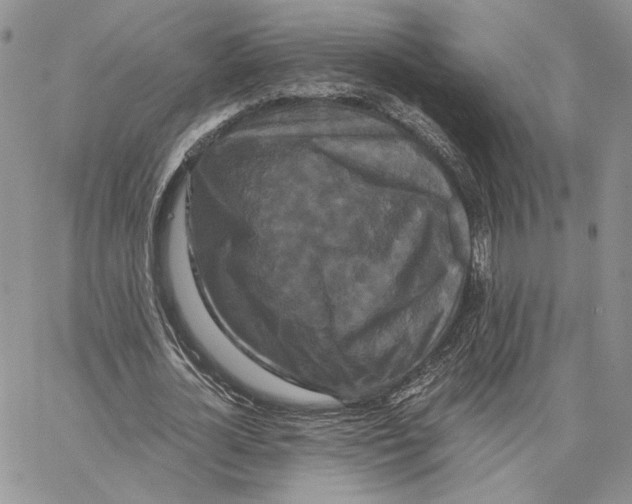 X0000062830724200602031536