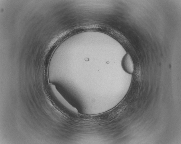 X0000062830732200602031536