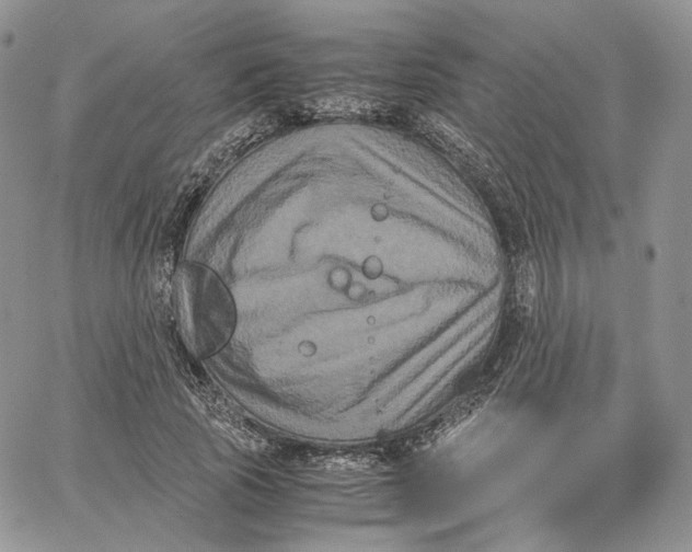 X0000062830737200602031536
