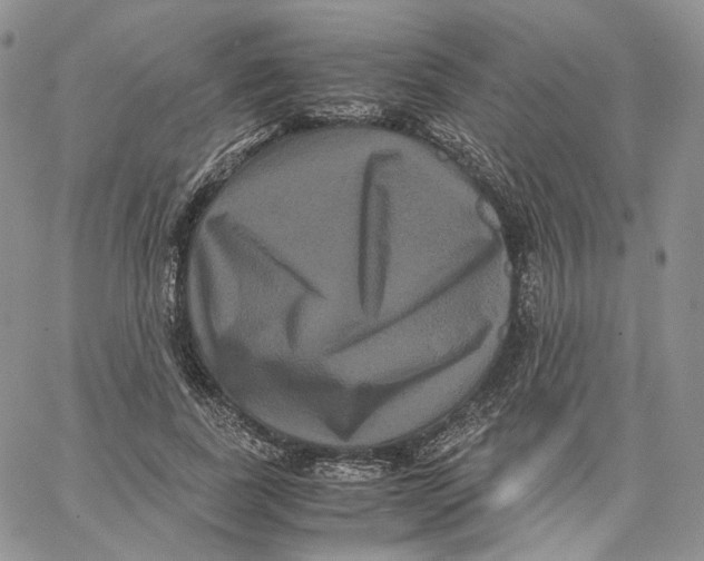 X0000062830739200602031536