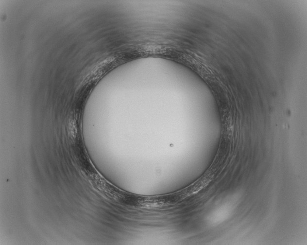 X0000062830746200602031537