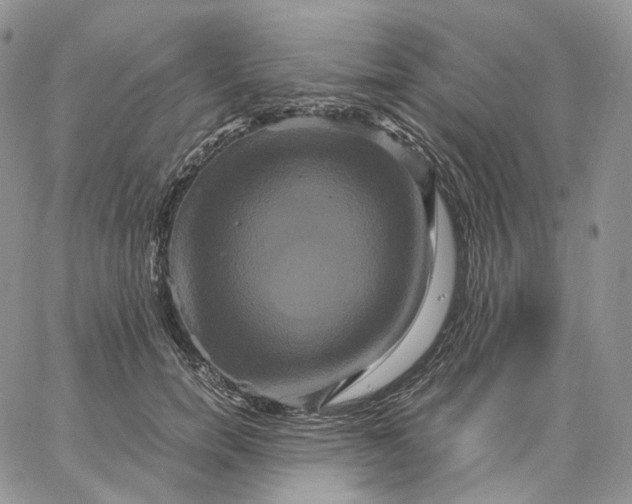 X0000062830750200602031537