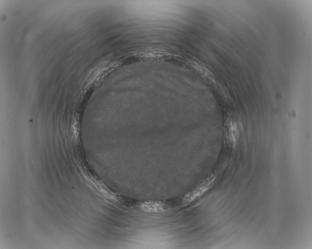 X0000062830762200602031537