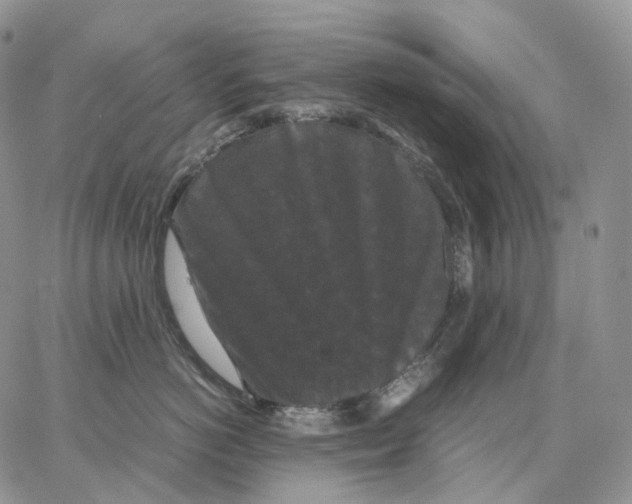 X0000062830766200602031537