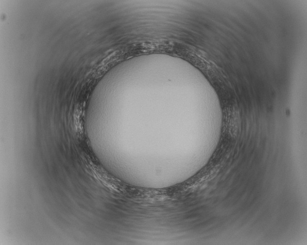 X0000062830770200602031536