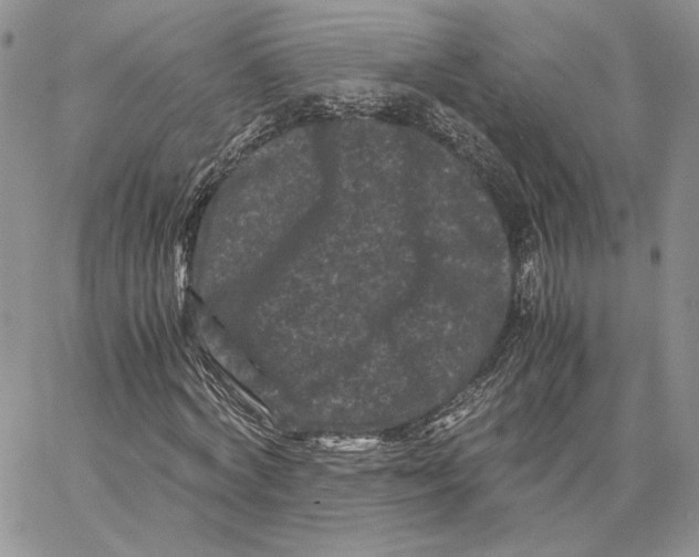 X0000062830772200602031536